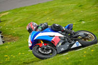 anglesey;brands-hatch;cadwell-park;croft;donington-park;enduro-digital-images;event-digital-images;eventdigitalimages;mallory;no-limits;oulton-park;peter-wileman-photography;racing-digital-images;silverstone;snetterton;trackday-digital-images;trackday-photos;vmcc-banbury-run;welsh-2-day-enduro